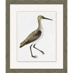 Wendover Wetland Bird Study 5 Wendover Wetland Bird Study 5