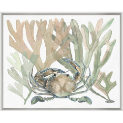 Wendover Aquatic Assortment 8 Wendover Aquatic Assortment 8