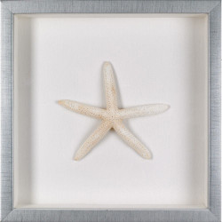 Wendover Starfish Natural
