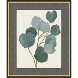 Wendover Silver Dollar Eucalyptus 3 Wendover Silver Dollar Eucalyptus 3