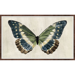 Wendover Antique Moth 2