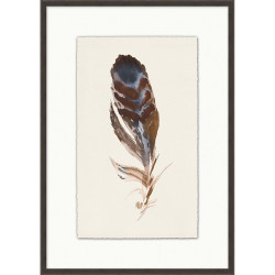 Wendover Watercolor Feather 1 Wendover Watercolor Feather 1