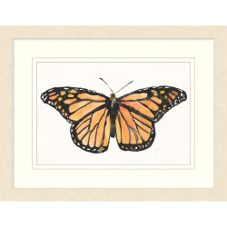 Wendover Colorful Butterfly 1