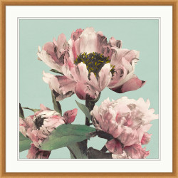 Wendover Pink Floral on Aqua 1