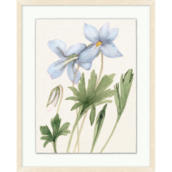 Wendover Vintage Floral Sketch 1