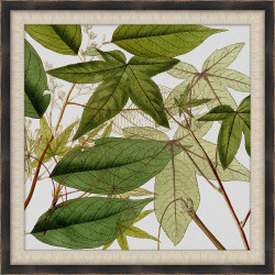 Wendover New Foliage 4