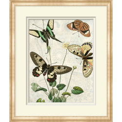 Wendover Butterfly Pattern 1