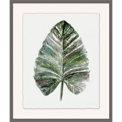 Wendover Foliage Study 2