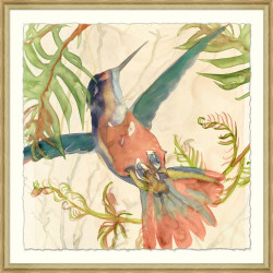 Wendover Humming Birds Garden 1 Wendover Humming Birds Garden 1