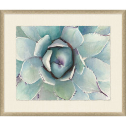 Wendover Spring Agave 1 Wendover Spring Agave 1