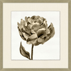 Wendover Sepaie Floral Wash 3