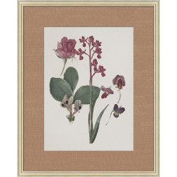 Wendover Floral Study in Plum 6 Wendover Floral Study in Plum 6