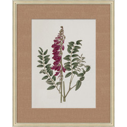 Wendover Floral Study in Plum 1 Wendover Floral Study in Plum 1