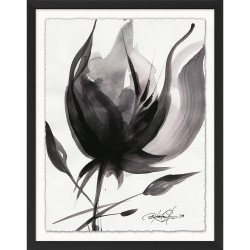 Wendover Black and White Flower Study 4 Wendover Black and White Flower Study 4