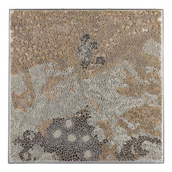 John Richard Tony Fey's Shifting Sands