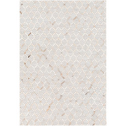 Surya Medora  Rug - MOD1005 - 5' x 7'6"