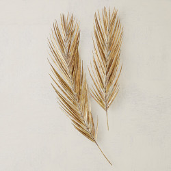 Studio A Palm Leaf - Antique Brass - Sm