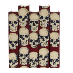 E Lawrence Rad Skulls - Red