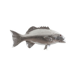 Phillips Collection Largemouth Bass Fish, Silver Leaf