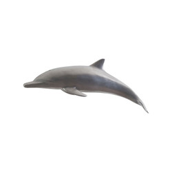 Phillips Collection Dolphin, Polished Aluminum