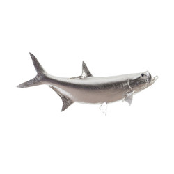 Phillips Collection Tarpon Fish, Silver Leaf
