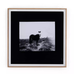 Four Hands Blank Horse by Annie Spratt - 48"X48"