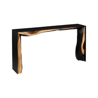 Phillips Collection Reef Framed Console