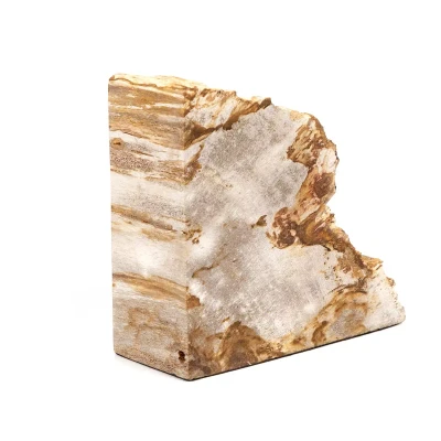 Four Hands Petrified Wood Book Ends