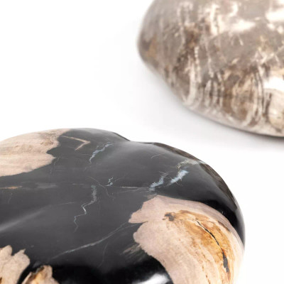 Four Hands Petrified Wood Organic Sculpture, Set Of 3