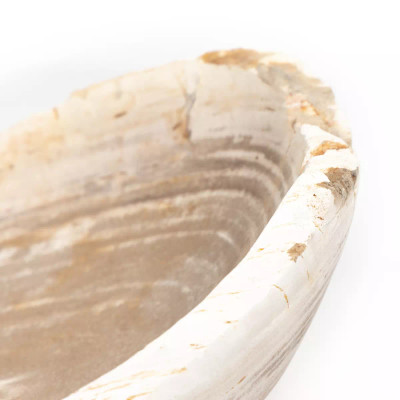 Four Hands Oval Petrified Wood Bowl