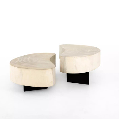 Four Hands Avett Coffee Table - 2 Piece - Bleached Guanacaste