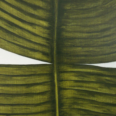Four Hands Ficus Elastica by Marianne Hendriks - 30"X40"