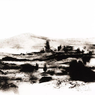 Four Hands Mono Land by Dan Hobday - 40"X30"