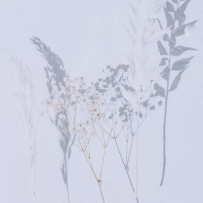 Four Hands Shadow Leaves II by Annie Spratt - 24"X32"