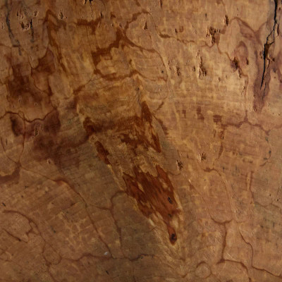 Four Hands Spalted Bowl