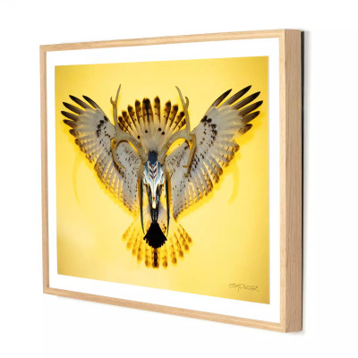 Four Hands Sundancer Yellow by Boyd Elder - 40"X30"