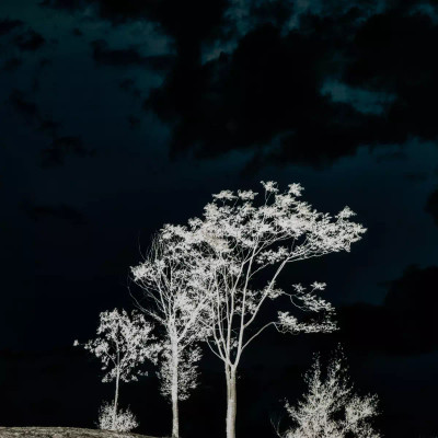 Four Hands There's A Lack Of Color Here by Getty Images - 48X72"