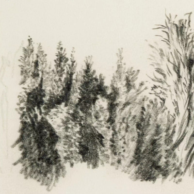 Four Hands Tree Sketch by Dan Hobday - 32"X24"