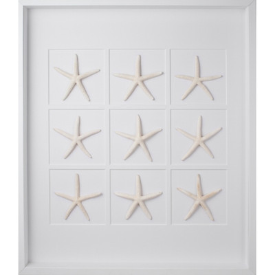 Large White Starfish