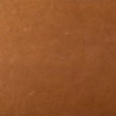 Four Hands Kena Dining Chair - Sonoma Butterscotch