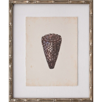 Mini Diderot Shell V