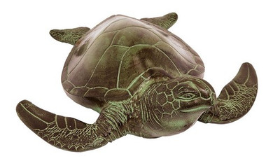 Sea Turtle image 2