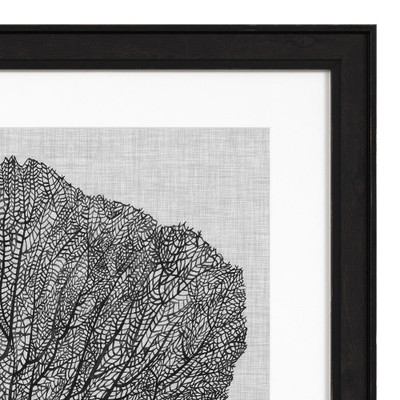 Eichholtz Ec289 Shadow Sea Fans Set Of 4 Print