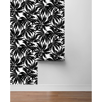 Daisy Bennett Designs Palma - Black
