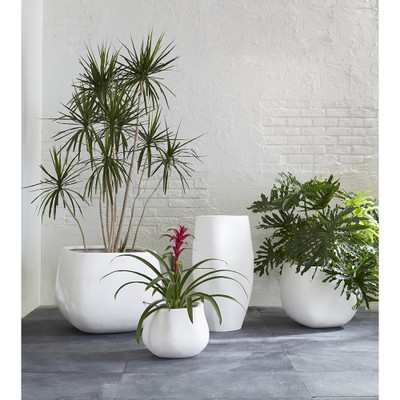Phillips Collection Amorphous Planter - Small - White