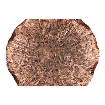 Phillips Collection Lotus Wall Art - Copper - Black - MD