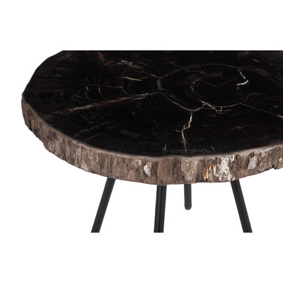 Phillips Collection Petrified Coffee Table - Round - Metal Black Base - Small