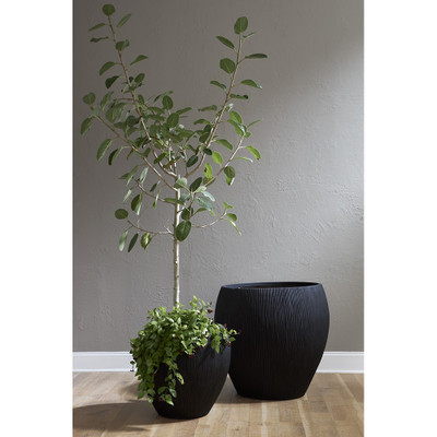 Phillips Collection Filament Planter - Black - SM