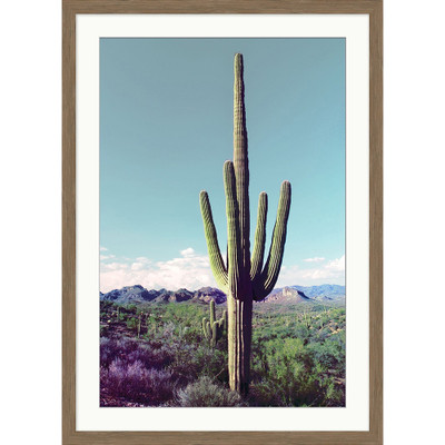 Wendover Purple Haze 3