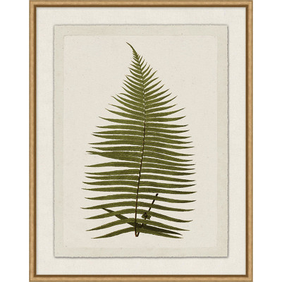 Wendover Plant Presses 6